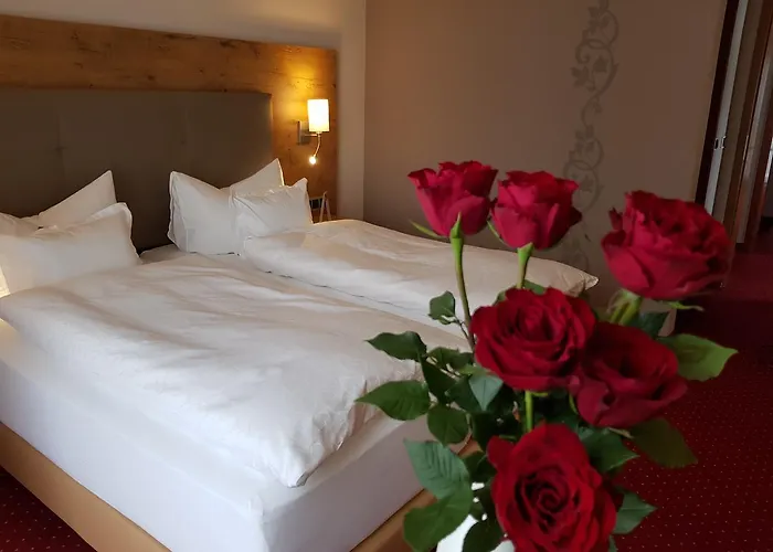 宾馆 加尼安登萨里内酒店 3*