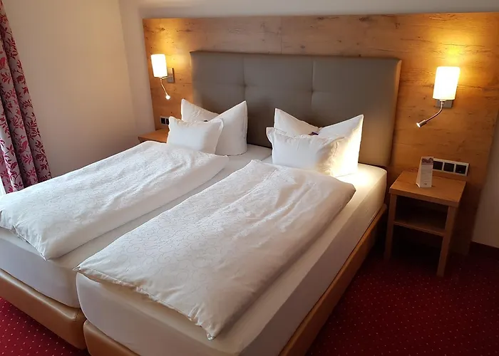 加尼安登萨里内酒店 宾馆 3*